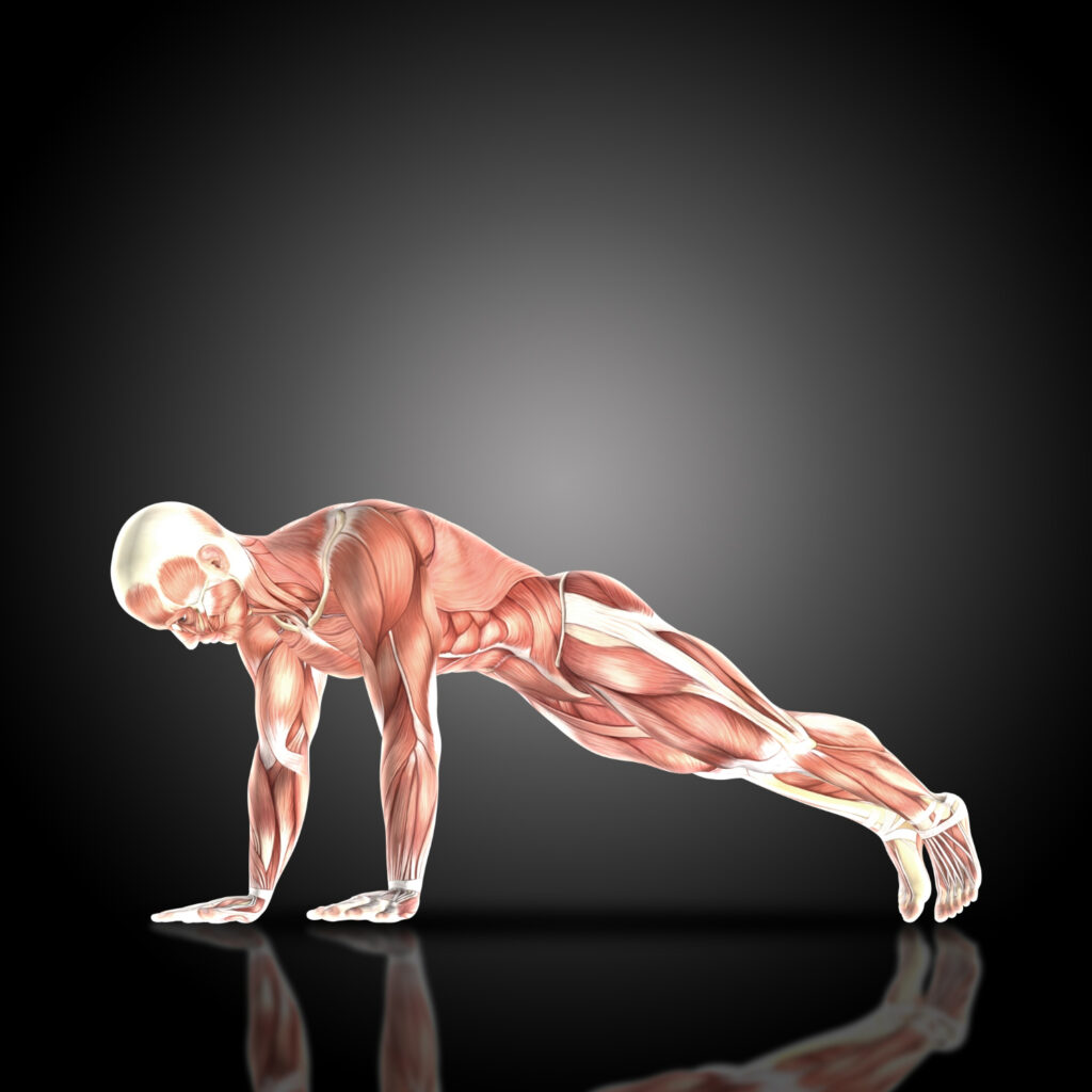 muscular man doing pushup